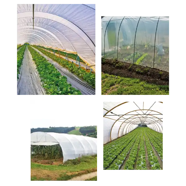 funciones del agrofilm peru